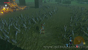The Legend of Zelda: Breath of the Wild