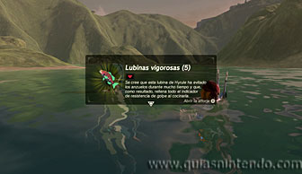 The Legend of Zelda: Breath of the Wild