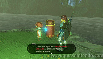 The Legend of Zelda: Breath of the Wild