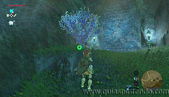 The Legend of Zelda: Breath of the Wild