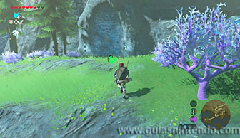 The Legend of Zelda: Breath of the Wild