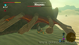 The Legend of Zelda: Breath of the Wild