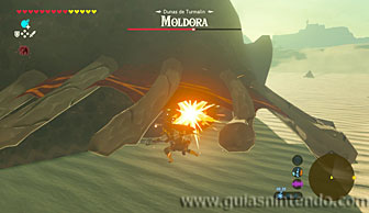 The Legend of Zelda: Breath of the Wild