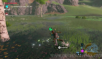 The Legend of Zelda: Breath of the Wild