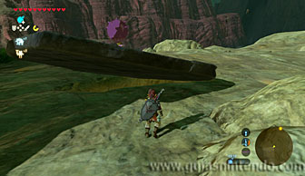 The Legend of Zelda: Breath of the Wild