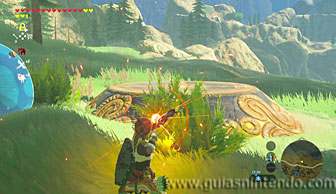 The Legend of Zelda: Breath of the Wild