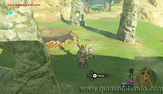 The Legend of Zelda: Breath of the Wild