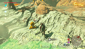 The Legend of Zelda: Breath of the Wild