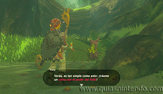 The Legend of Zelda: Breath of the Wild