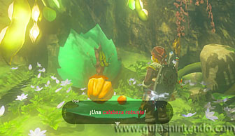 The Legend of Zelda: Breath of the Wild