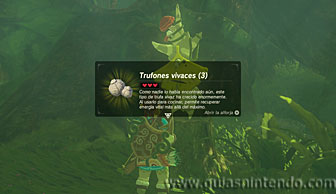 The Legend of Zelda: Breath of the Wild