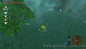 The Legend of Zelda: Breath of the Wild