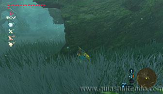 The Legend of Zelda: Breath of the Wild