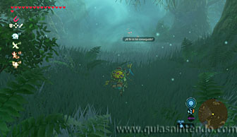 The Legend of Zelda: Breath of the Wild