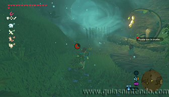 The Legend of Zelda: Breath of the Wild