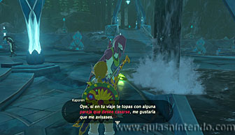 The Legend of Zelda: Breath of the Wild