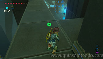The Legend of Zelda: Breath of the Wild
