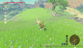 The Legend of Zelda: Breath of the Wild (Nintendo Switch)