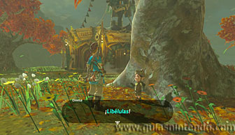 The Legend of Zelda: Breath of the Wild