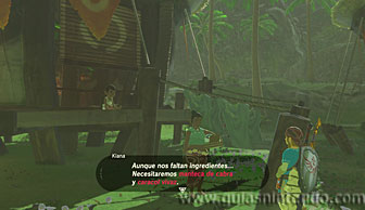 The Legend of Zelda: Breath of the Wild