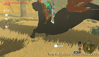 The Legend of Zelda: Breath of the Wild