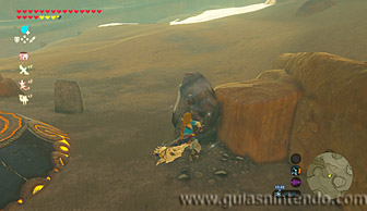 The Legend of Zelda: Breath of the Wild