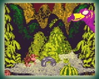 Donkey Kong Country
