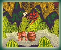 Donkey Kong Country