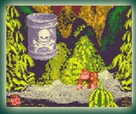 Donkey Kong Country