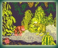 Donkey Kong Country