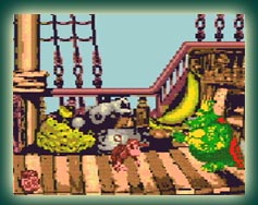 Donkey Kong Country