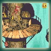 Donkey Kong Country