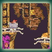 Donkey Kong Country