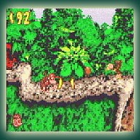Donkey Kong Country