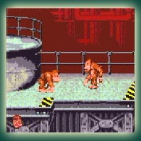 Donkey Kong Country