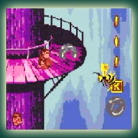 Donkey Kong Country
