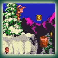 Donkey Kong Country