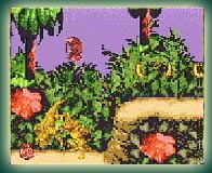 Donkey Kong Country