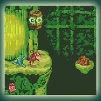 Donkey Kong Country