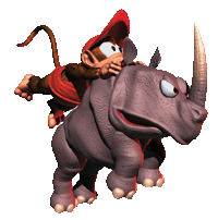 Donkey Kong Country