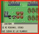 Pokemon Trading Card Game