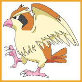 Pidgey