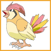 Pidgeotto