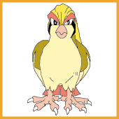 Pidgeot