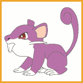 Rattata