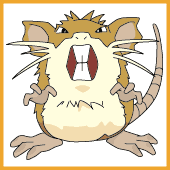 Raticate