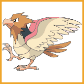 Spearow