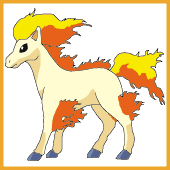 Ponyta