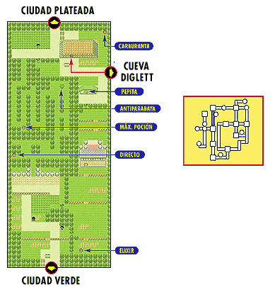 Ruta 2