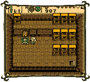 The Legend of Zelda: Oracle of Ages